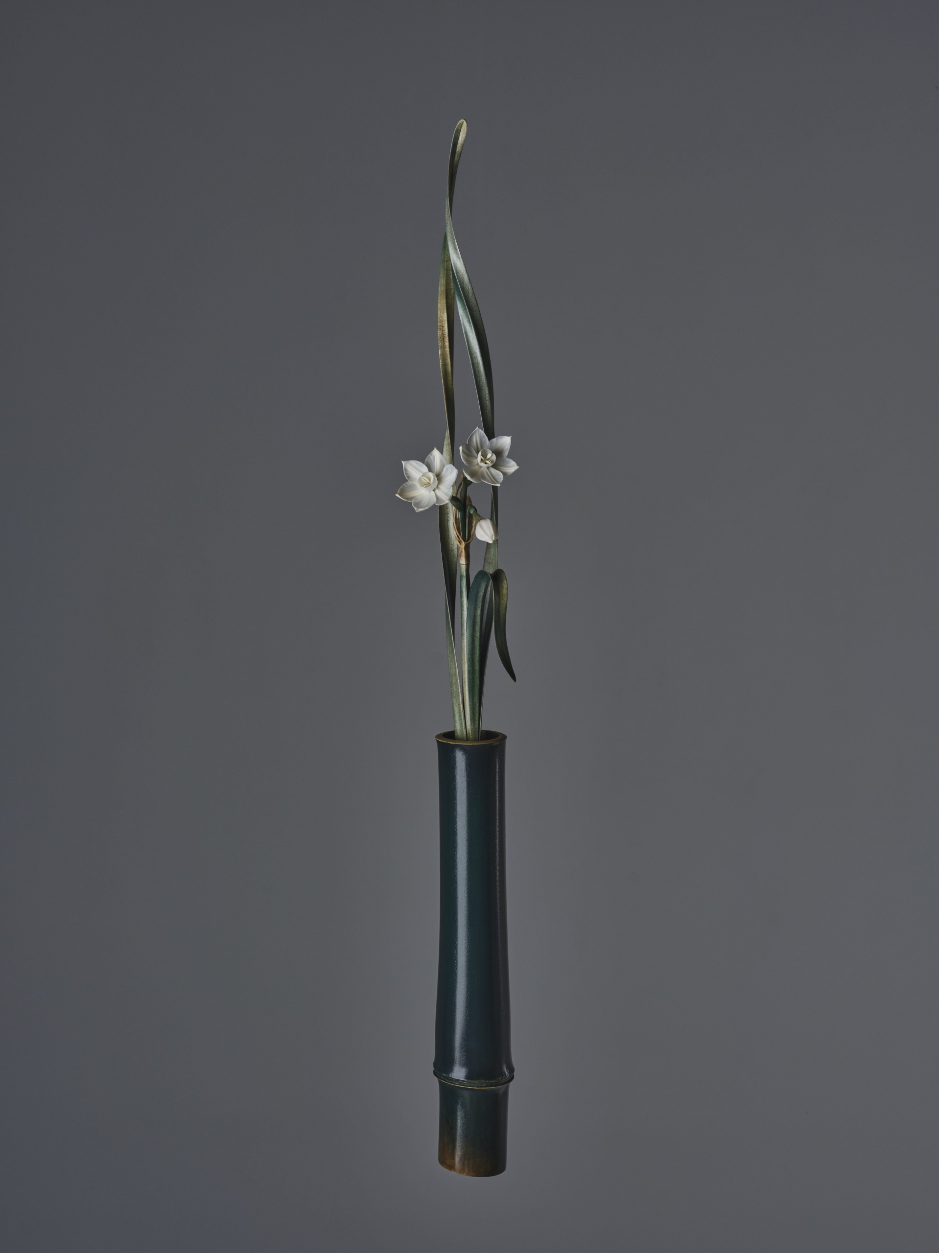 Bamboo Daffodil –Double–