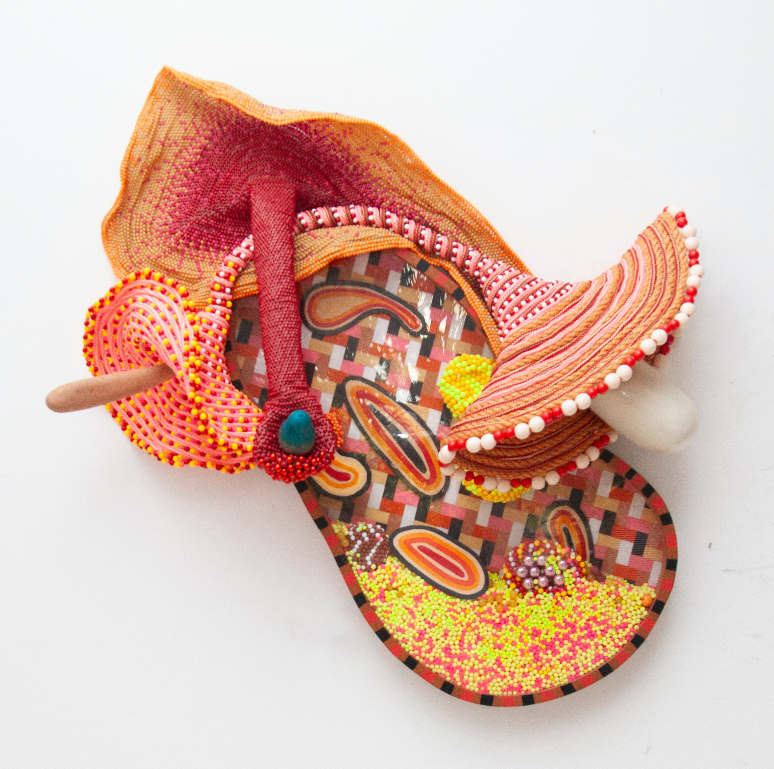 Dentro a barriga (Inside the belly)